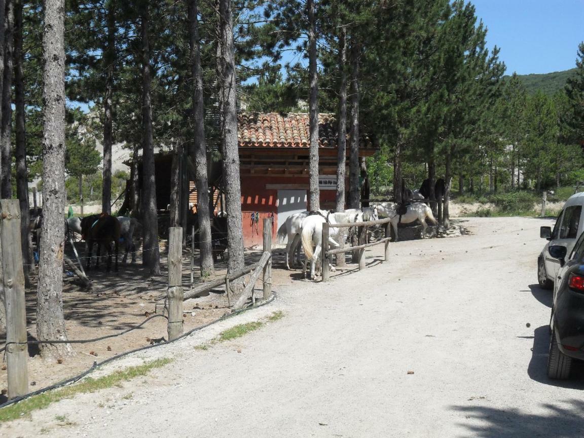 Апартаменты Bienvenidos A Vuestra Casa! Сансоайн Экстерьер фото